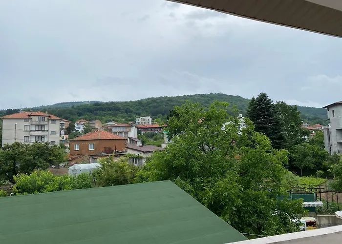 германови 招待所 *