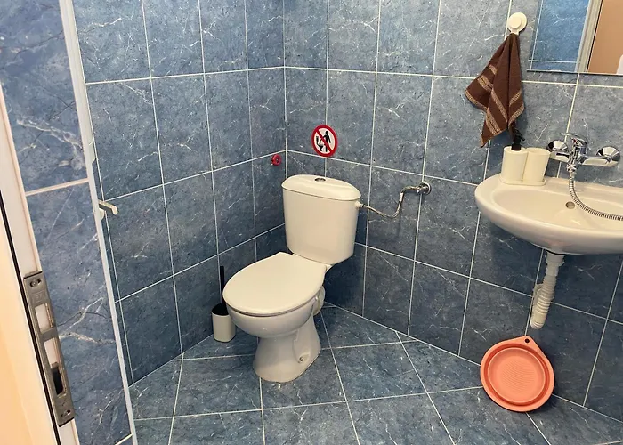 германови 招待所