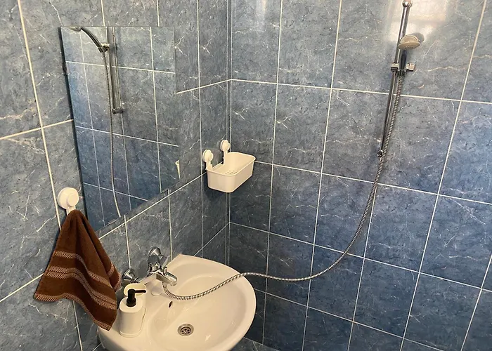 招待所 германови *