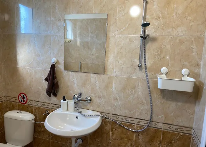 германови 招待所 *