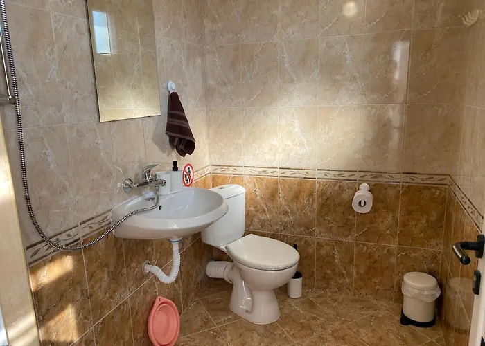 германови 招待所 *