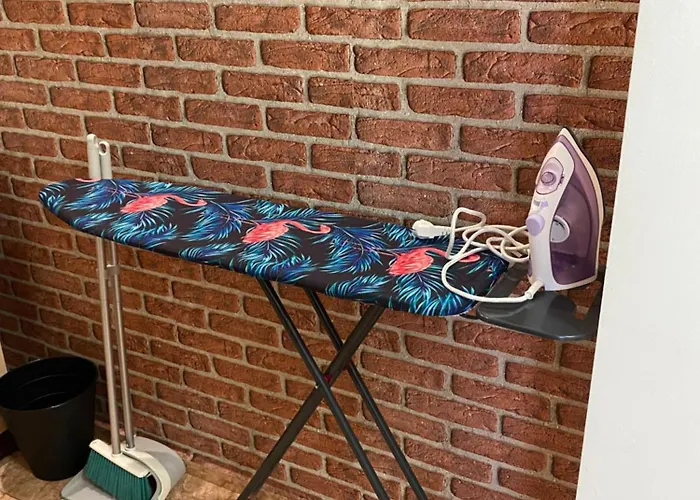 германови 招待所