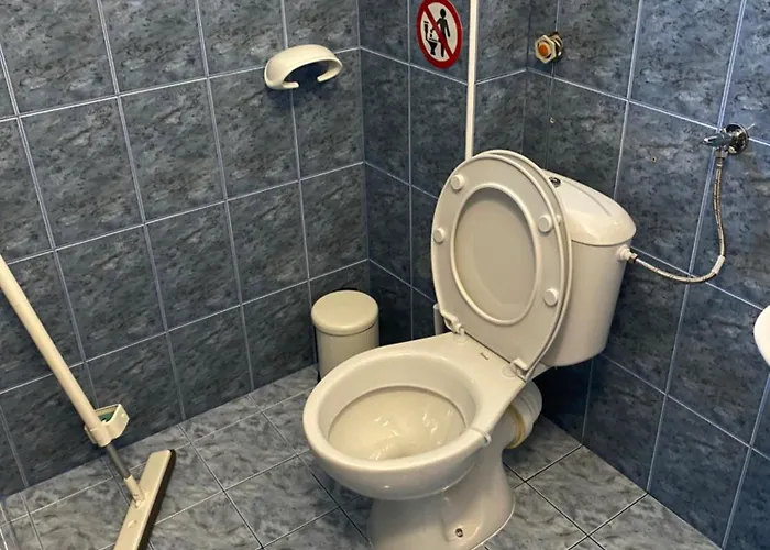 германови 招待所