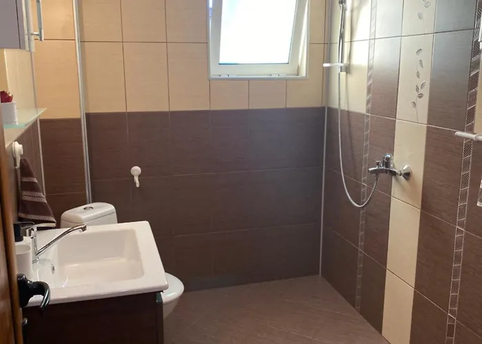 招待所 германови *