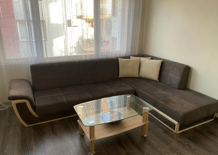 германови 招待所 *