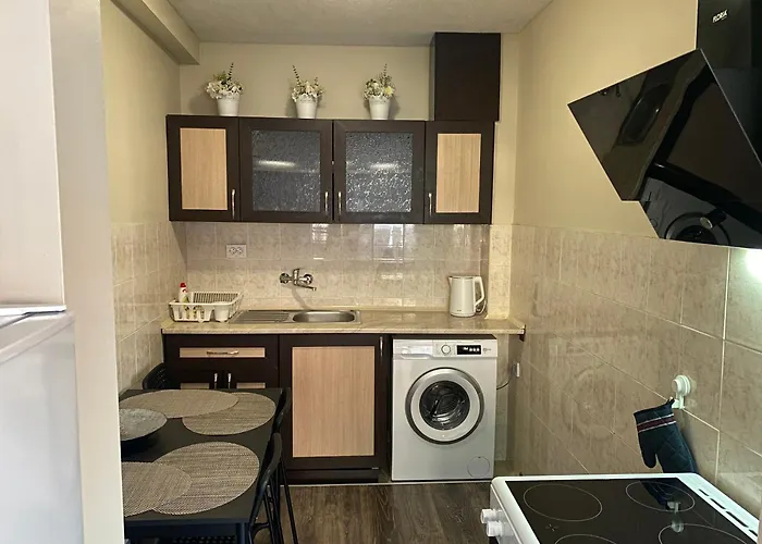 германови 招待所