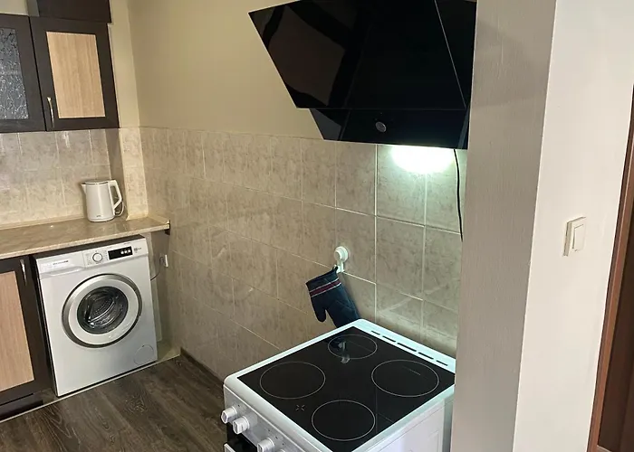 германови 招待所 *